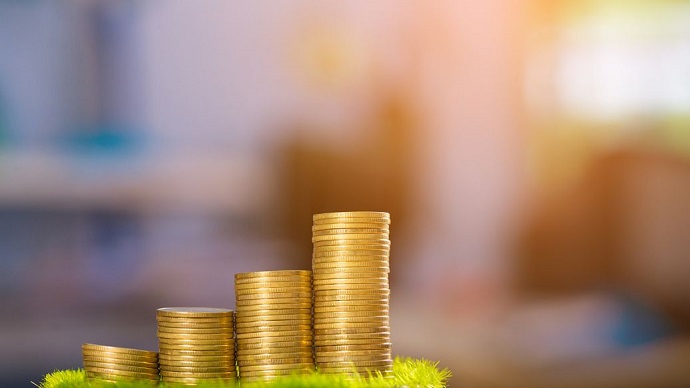 返程投資(FDI) 返程投資(FDI)